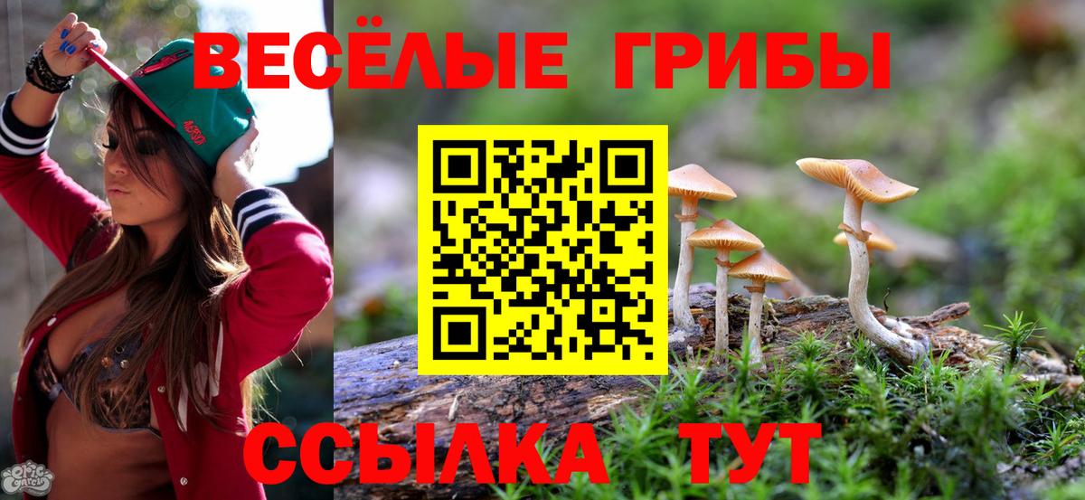 купить наркотики цена  Псилоцибиновые грибы Cubensis  Псилоцибиновые грибы Cubensis  Вход с VPN  Новочеркасск 