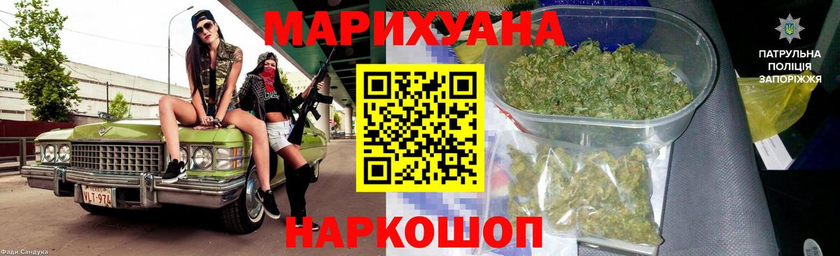 Канабис сатива Новочеркасск